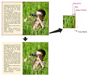 bleed_diagram